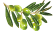 1557370473789094957.png blob.png