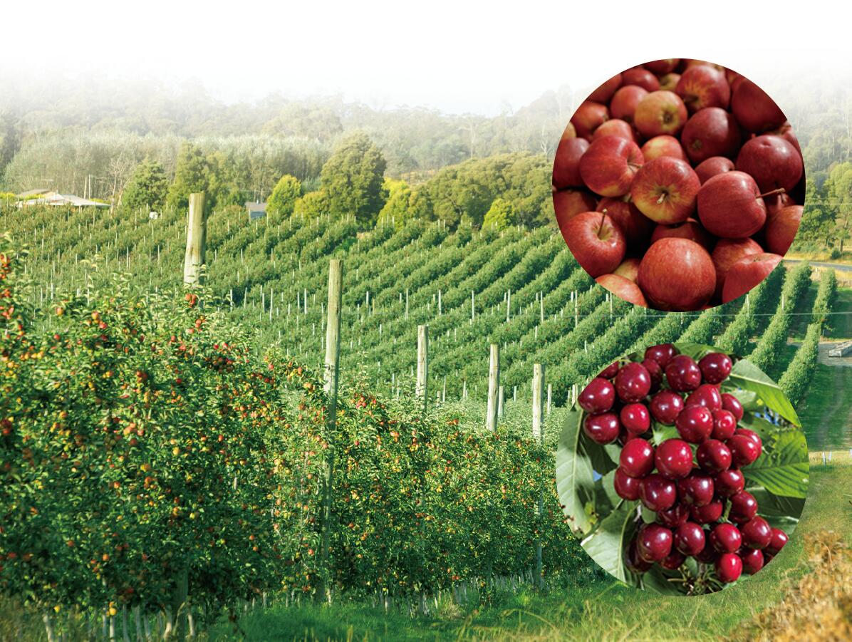 1620270156312013151.jpg 1620270156312013151.jpg